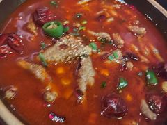 -撒椒小酒馆馆池袋店