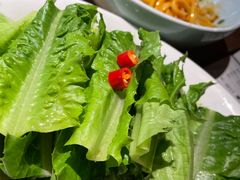 油麦菜-六月雪干锅(绵阳凯德广场店)