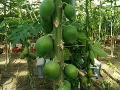 -天源吉布世温泉水乐园