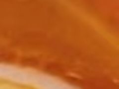 -元气寿司(金光华店)