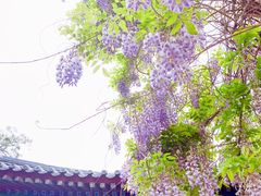 -北京市劳动人民文化宫(太庙)