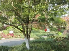 -浙江西子宾馆·瑶园咖啡厅