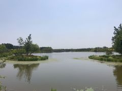 -东郊湿地公园