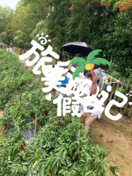 -前小桔亲子创意农场·草莓采摘·露营烧烤