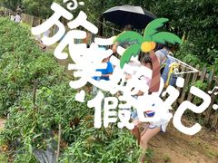 -前小桔亲子创意农场·草莓采摘·露营烧烤