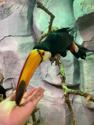 -Zoolung Zoolung动物主题公园(海信广场店)