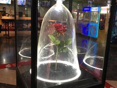 -天幕新彩云国际影城(激光巨幕店)