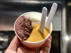 巧克力雪葩-Dip in Gelato(富民路店)