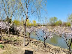 -东郊湿地公园