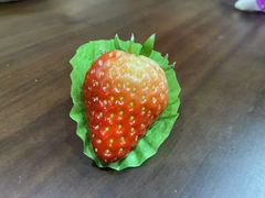 -爱新觉罗福臨火锅馆(万科滑雪场店)