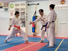 -国际松涛馆空手道连盟(成都店)