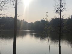 -枫香湖儿童公园