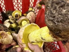 -双喜农庄·菌香园(安居家园店)