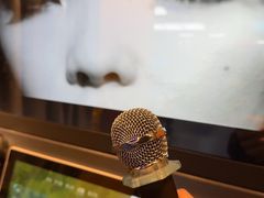 -DEDE APU潮玩运动聚乐部(观音桥店)