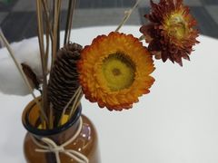 -槿言教育·雅思托福·国际教育·小语种培训留学中心(观音桥店)