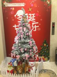 -宝生月子中心(民治店)