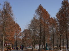 -宁波杭州湾国家湿地公园