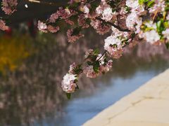 -海棠花溪(元大都城垣遗址公园)