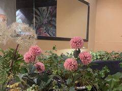 -百特喜·意大利餐厅(八佰伴镇江店)