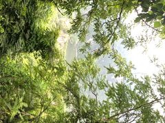 -秦岭终南山世界地质公园翠华山景区