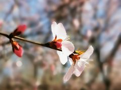 -奥体中心(地铁站)