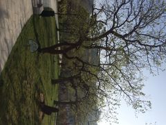 iphone_upload_pic-仁寿山