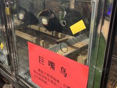 -北戴河集发农业梦想王国