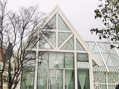-大塘金香草谷