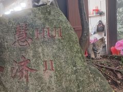 -普陀山风景区-佛顶山