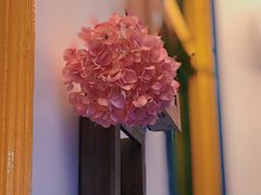 -甜阿姨·天台花园私房菜(万松园店)