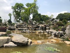 -东莞植物园