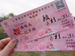 -顾村公园