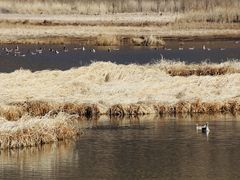 -丽江泸沽湖景区