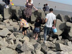 -南汇嘴观海公园