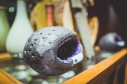 -藏晶堂(丰盛里店)