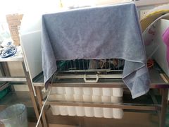 -瑞派·关忠动物医院(国瑞店)