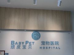 -艾贝尔宠物医院·狂犬免疫点(江山金象城店)