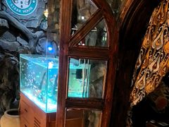 -凯撒城堡西餐厅(颐和国际店)