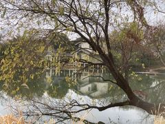 -新荣记(西溪湿地店)