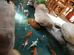 -渔乐里(智荟城店)