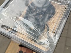 -北京观赏动物医院·24小时大型综合·猫专科·异宠专科