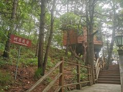 -塔云山