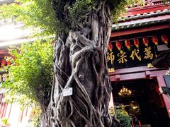 -叩齿古寺