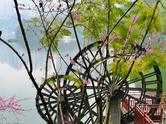 -重庆彩云湖湿地公园