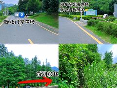 -马峦山郊野公园