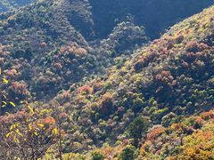 -妙峰山风景名胜区