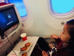 -海南海航航空信息系统公司