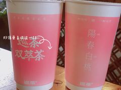 -巡茶(港区金科廊桥店)