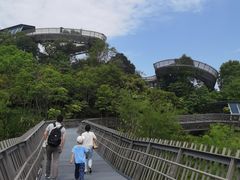 -福道