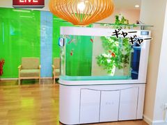 -天津大学爱尔眼科医院(天津总院)